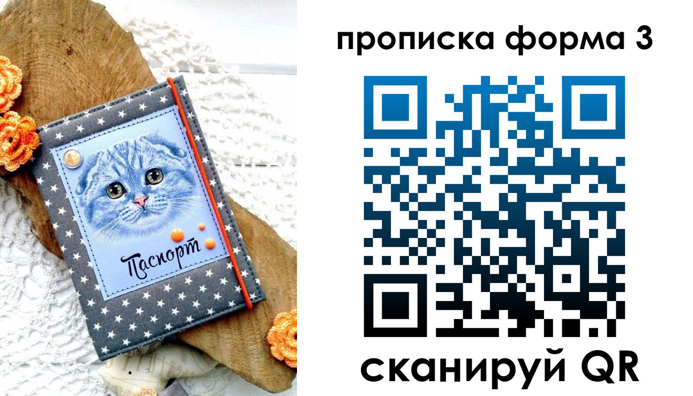 прописка поиск в Заинске